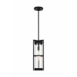 Alcona 1-Light Outdoor Pendant (with Bulb) Online