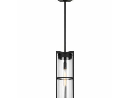 Alcona 1-Light Outdoor Pendant (with Bulb) Online