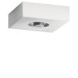 Mates Flush Mount on Sale