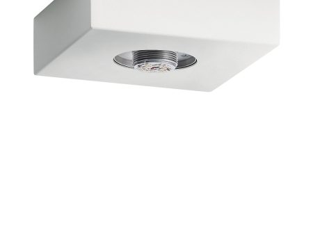 Mates Flush Mount on Sale