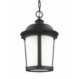 Calder 1-Light Outdoor Pendant (with Bulb) Cheap