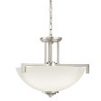 Eileen 14.5  3-Light Convertible Pendant with LED Bulbs For Discount