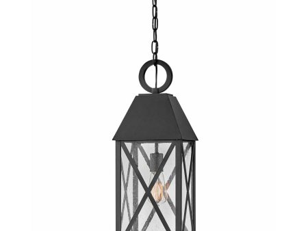 Briar Outdoor Pendant For Discount