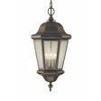 Martinsville 3-Light Outdoor Pendant (with Bulbs) Fashion