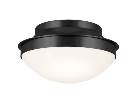 Bretta 13.5  2-Light Flush Mount Cheap