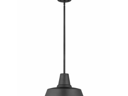 Barn Light 1-Light Outdoor Pendant (with Bulb) Fashion