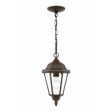 Bakersville 1-Light Outdoor Pendant Sale