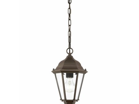 Bakersville 1-Light Outdoor Pendant Sale