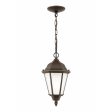 Bakersville 1-Light Outdoor Pendant (with Bulb) Online Sale