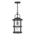 Lakehouse Outdoor Pendant Supply