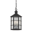 Lake County 4-Light Outdoor Pendant Online Sale