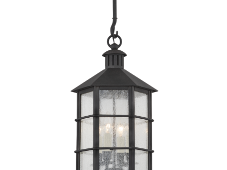 Lake County 4-Light Outdoor Pendant Online Sale