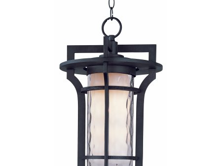 Oakville 1-Light Outdoor Pendant For Sale