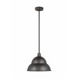 Barn Light 1-Light Outdoor Pendant (with Bulb) Hot on Sale