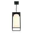 Ren 8  1 Light Outdoor Pendant Hot on Sale