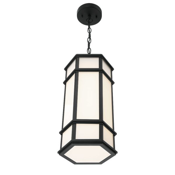 Monte 18  LED Outdoor Pendant Online Hot Sale