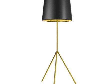 Tripod Floor Lamp (Decorative) For Cheap