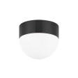 Adams 2 Light Small Flush Mount on Sale