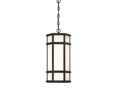 Monte 18  LED Outdoor Pendant Online Hot Sale