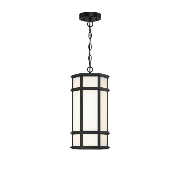 Monte 18  LED Outdoor Pendant Online Hot Sale