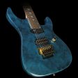 Used 2012 Caparison Horus Electric Guitar Scarab Online Hot Sale