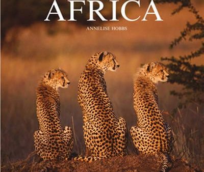 A. Hobbs: Africa [2009] hardback Online Hot Sale