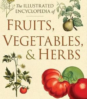 Chartwell: The Illustrated Encyclopedia of Fruits, Vegetables, and Herbs [2017] hardback Hot on Sale