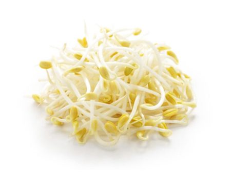 Favric Trading Bean Sprout (Taugeh) (Malaysia) 500g Hot on Sale