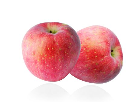 Fuji Apple (Korea) 2pcs pack Sale