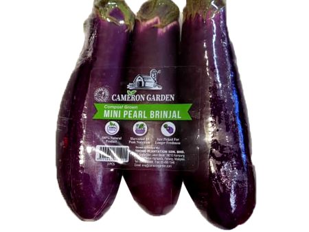 Cameron Garden Mini Pearl Brinjal (Malaysia) 3pcs pack Online now